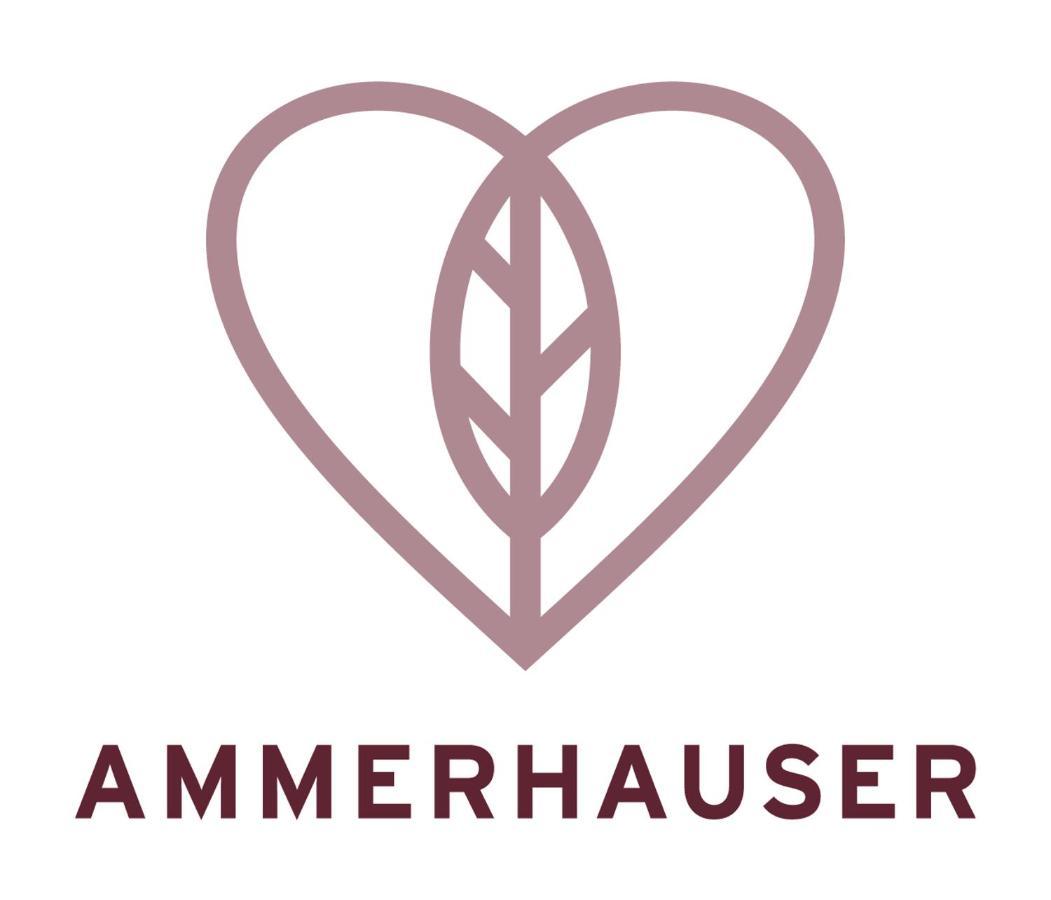 Hotel-Restaurant Ammerhauser Anthering エクステリア 写真